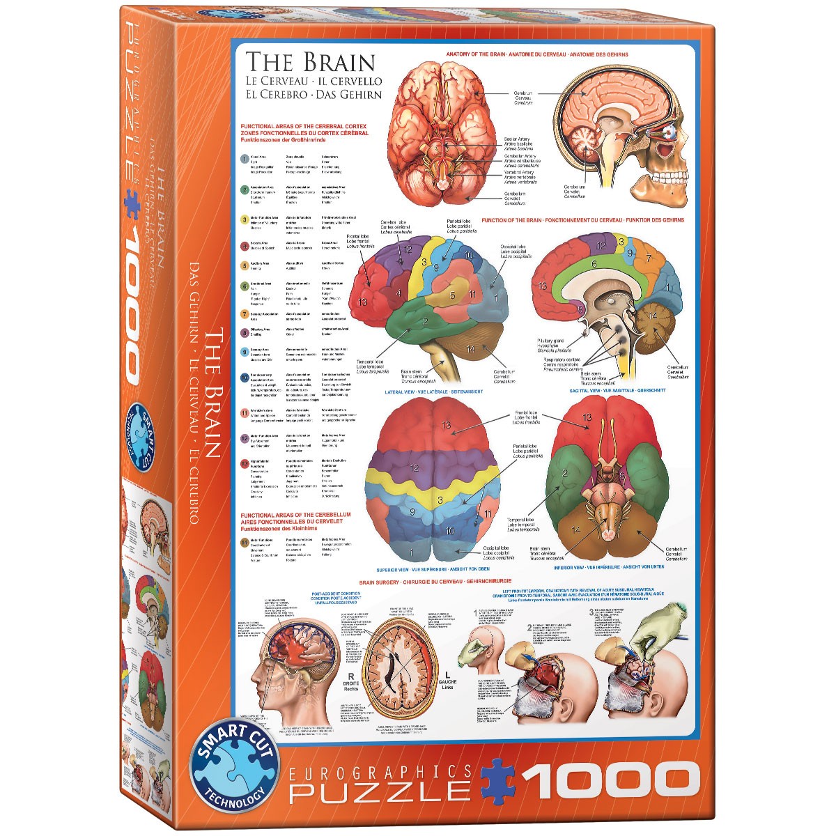 Eurographics Puzzle 6000-0256 - Das Gehirn  - 1000 Teile