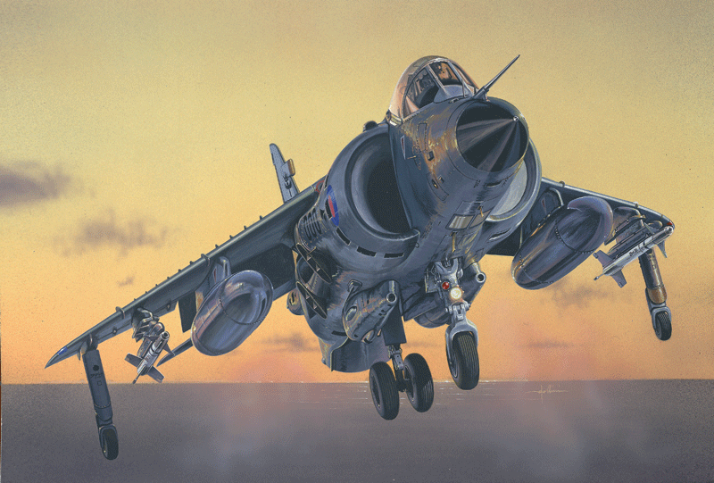 Italeri 1236 - 1/72 Sea Harrier Frs.1 - Neu